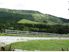 Whangaripo Valley Beauty