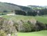 Whangaripo Valley Beauty