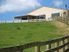 Whangaripo Valley Beauty