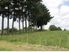 Whangaripo Valley Beauty