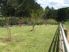 Whangaripo Valley Beauty