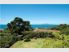 QUARTER ACRE CASTOR BAY MASTERPIECE