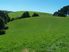 Attractive Dairy Farm & Support Block