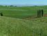 Attractive Dairy Farm & Support Block