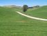 Attractive Dairy Farm & Support Block