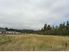 Haast Section Bonanza!