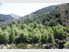 FORESTRY AND RECREATION, TE MOANA GORGE