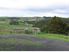 A Little bit of Remuera in Mangawhai.