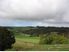 A Little bit of Remuera in Mangawhai.