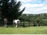 The Views! The Privacy!