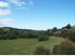 The Views! The Privacy!