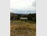 Sunny semi-rural Concord section $99,000