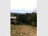 Sunny semi-rural Concord section $99,000