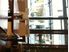 Cafe Newmarket Owner Wants Out Now
