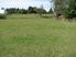 Country Feel