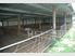 Boutique Dairy