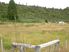 SECTION - GREENSTONE, KUMARA