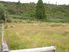 SECTION - GREENSTONE, KUMARA