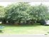 Investors!! Price reduced - $149,000