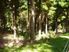 Forestry/Farming/Lifestyle Block