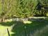 Forestry/Farming/Lifestyle Block