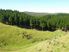 Forestry/Farming/Lifestyle Block