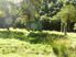 Forestry/Farming/Lifestyle Block