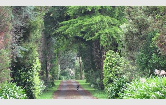 Waihinau - "Natural Beauty"