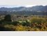 Waihinau - "Natural Beauty"