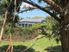 Paradise Found Versatile Farmland