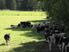 Paradise Found Versatile Farmland
