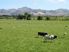 Paradise Found Versatile Farmland