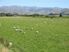 Paradise Found Versatile Farmland