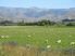 Paradise Found Versatile Farmland