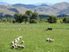Paradise Found Versatile Farmland