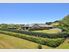 Captivating Country Views
