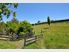 Captivating Country Views