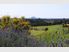 2 homes, Shedding, Grazing, Views & Income.