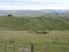 PUKETAI