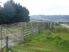 PUKETAI