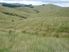 PUKETAI