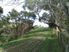 47.5 Hectares.