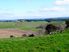 Strong Grazing Block Milton .