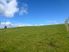 Strong Grazing Block Milton .