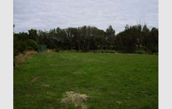 Build Your New Home Here!