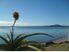 Milford Beach - Coastal Icon