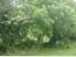 In The Middle of No Where -