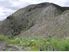 Forestry Block Opportunity