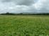 QUALITY NORTHLAND DAIRY CONVERSION