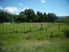 A True Eco-Lifestyle Retreat